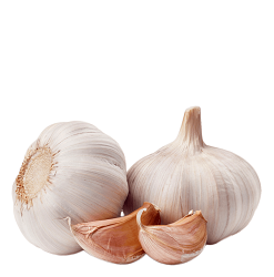 Online Garlic Sonipat
